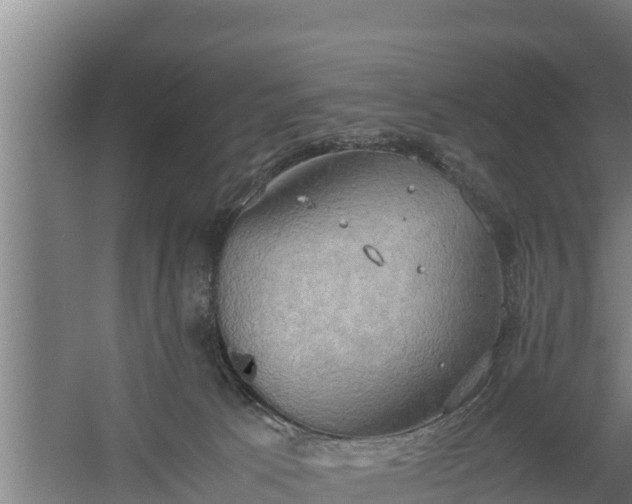 X0000058130033200509302004