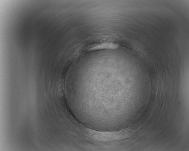 X0000058130034200509302004