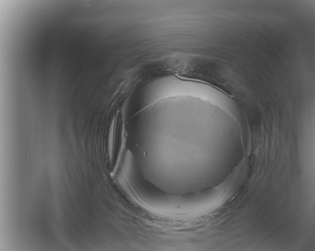 X0000058130035200509302004