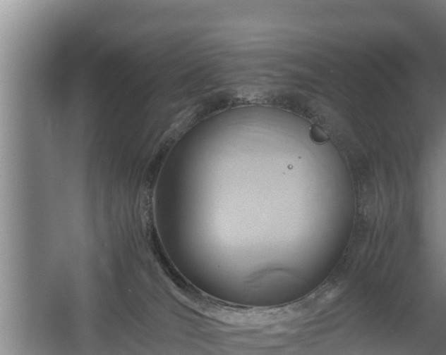 X0000058130036200509302004