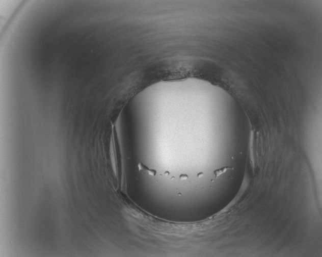 X0000058130037200509302004