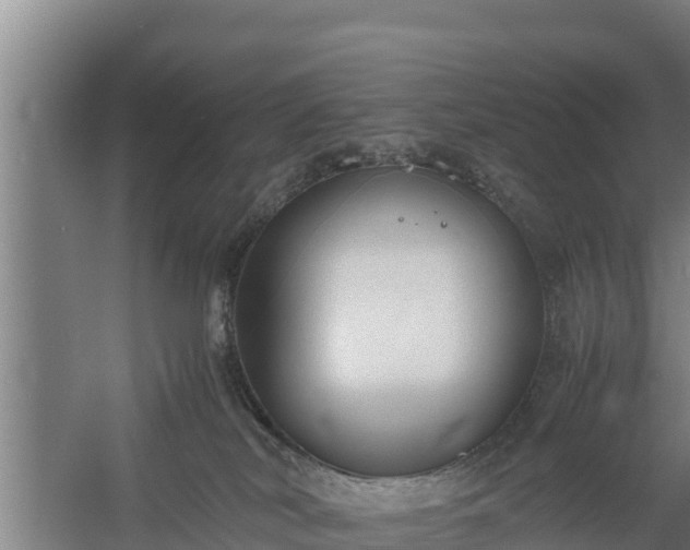 X0000058130038200509302004