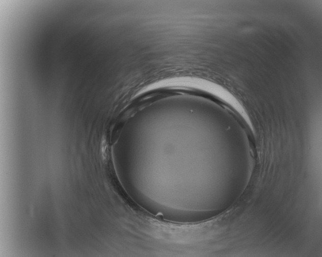 X0000058130039200509302004