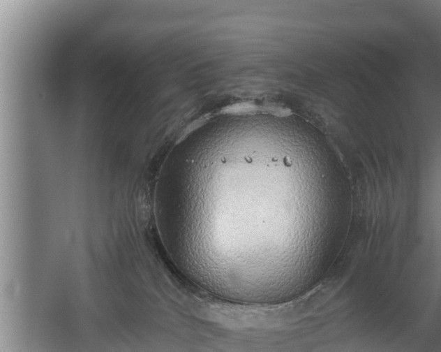 X0000058130040200509302004