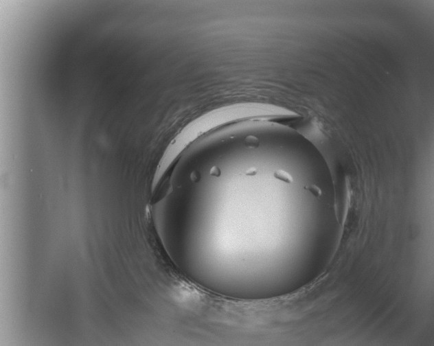 X0000058130041200509302004