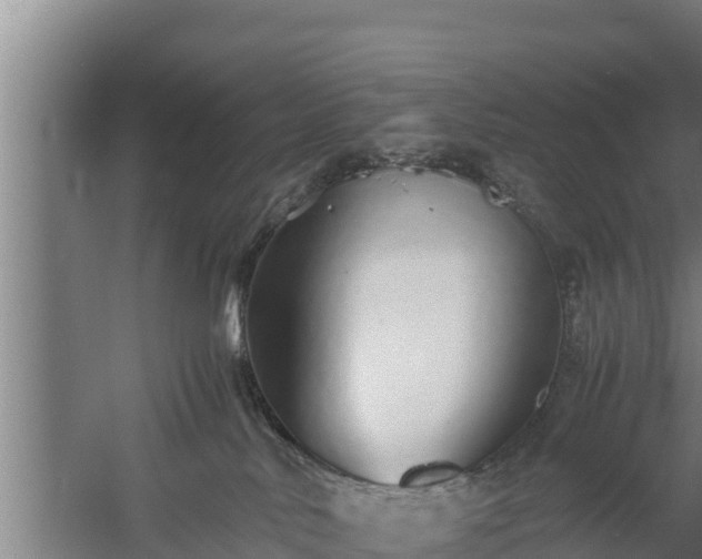 X0000058130042200509302004