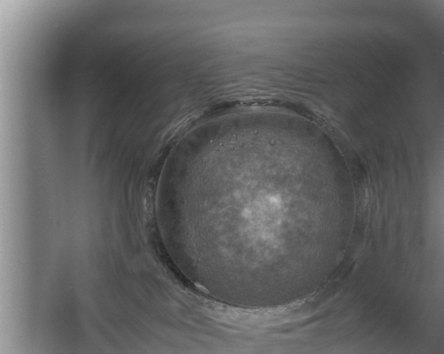 X0000058130043200509302004