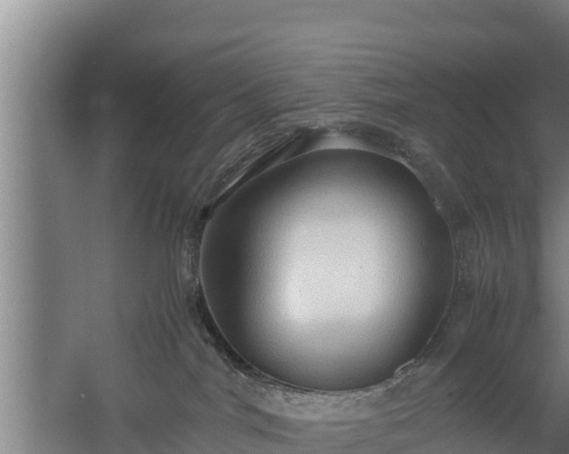 X0000058130044200509302004