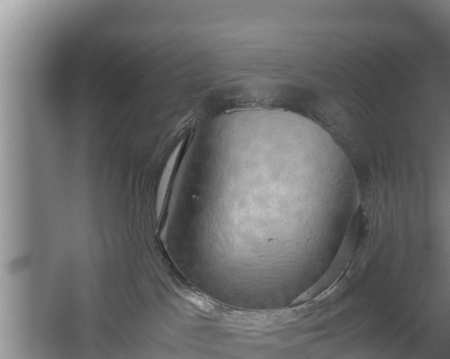 X0000058130045200509302004