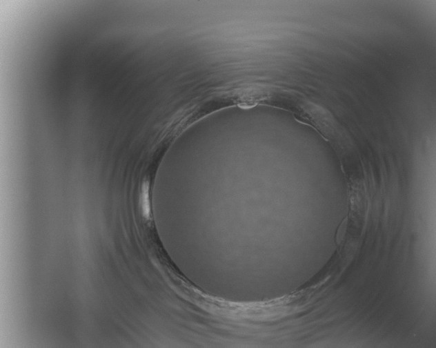 X0000058130046200509302004