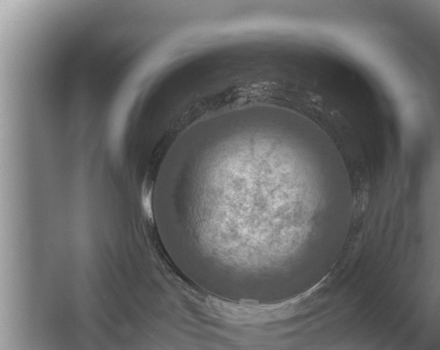 X0000058130047200509302004