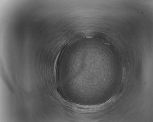 X0000058130048200509302004