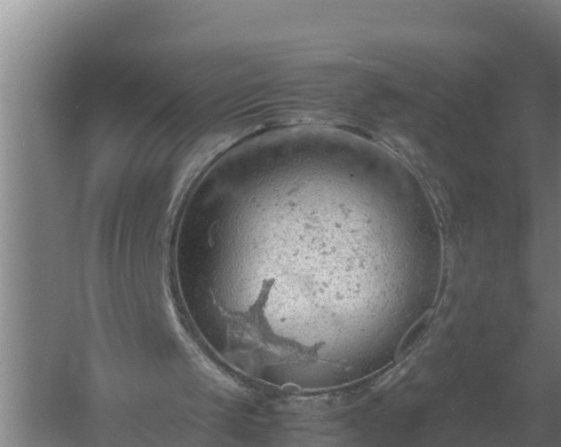 X0000058130049200509302003