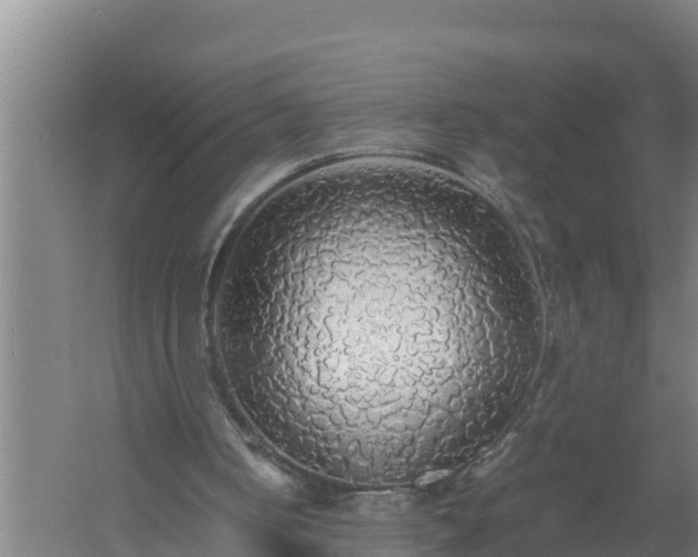 X0000058130050200509302003