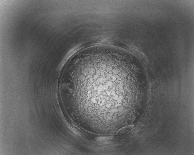 X0000058130051200509302003