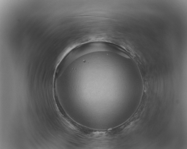 X0000058130052200509302003