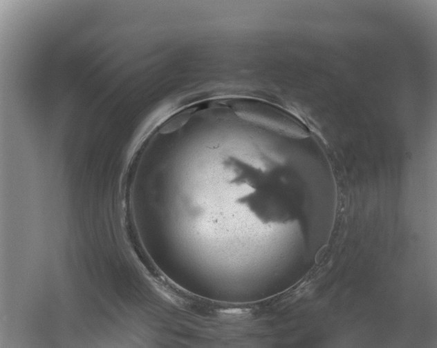 X0000058130053200509302003