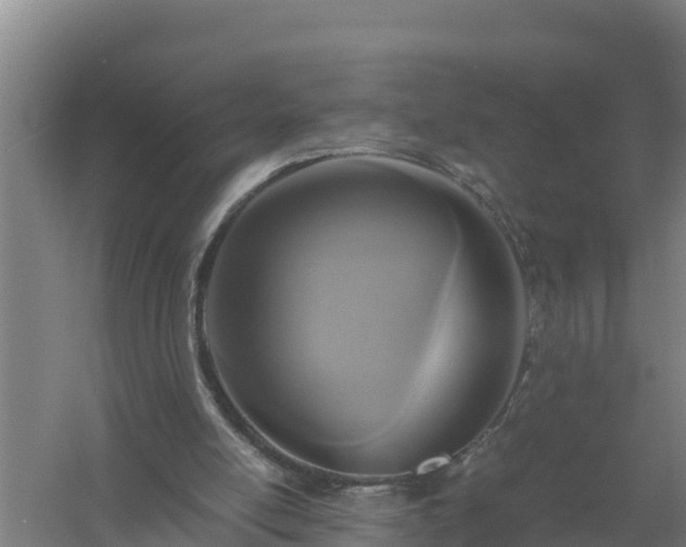 X0000058130054200509302003