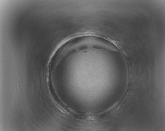 X0000058130056200509302003