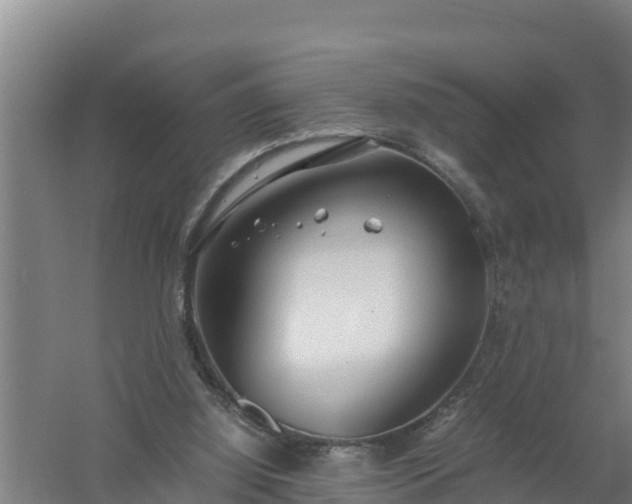 X0000058130060200509302003