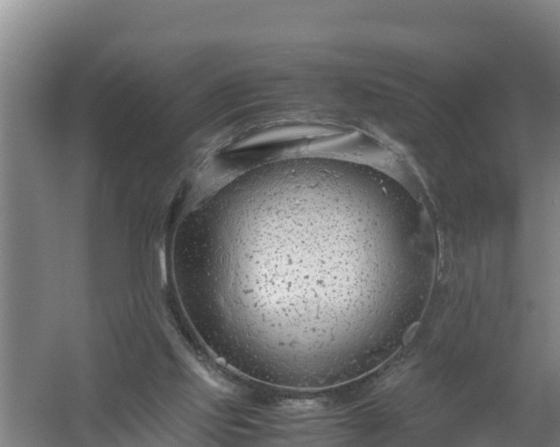 X0000058130061200509302003