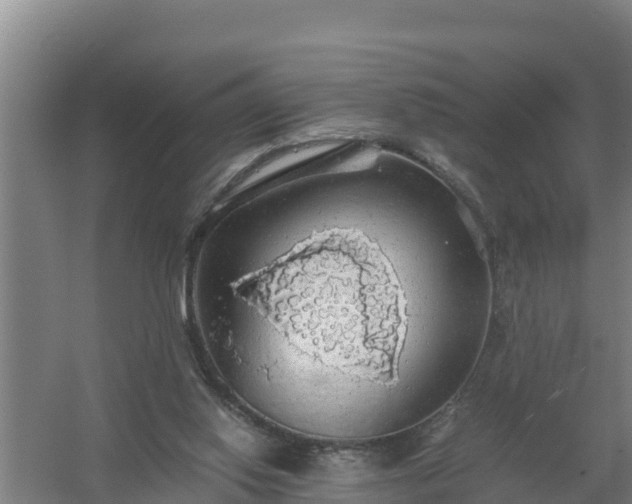 X0000058130062200509302003