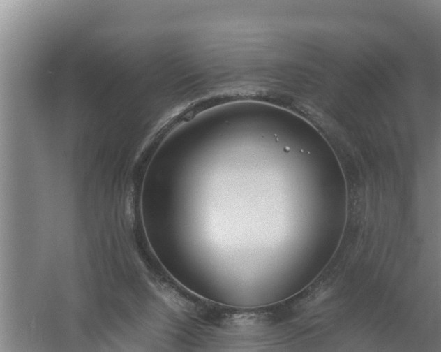 X0000058130064200509302003