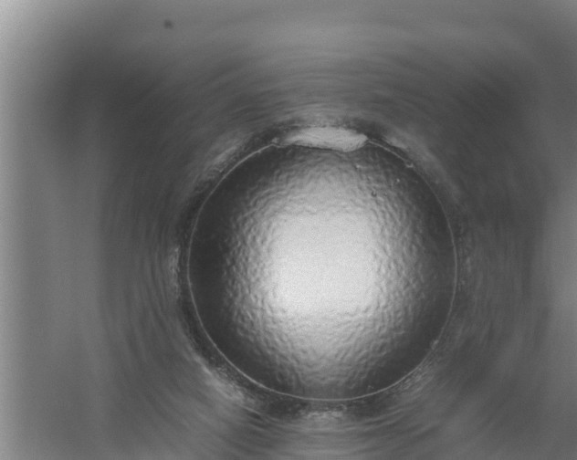 X0000058130066200509302003