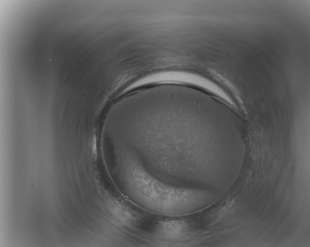 X0000058130067200509302003