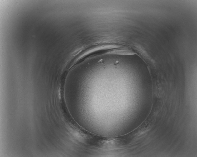 X0000058130068200509302003