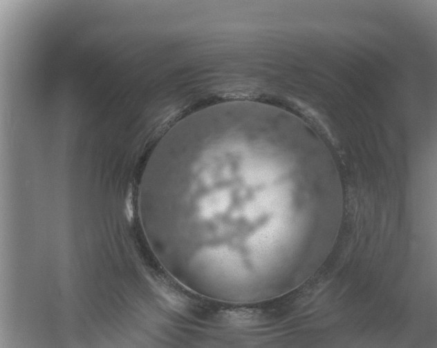 X0000058130069200509302003