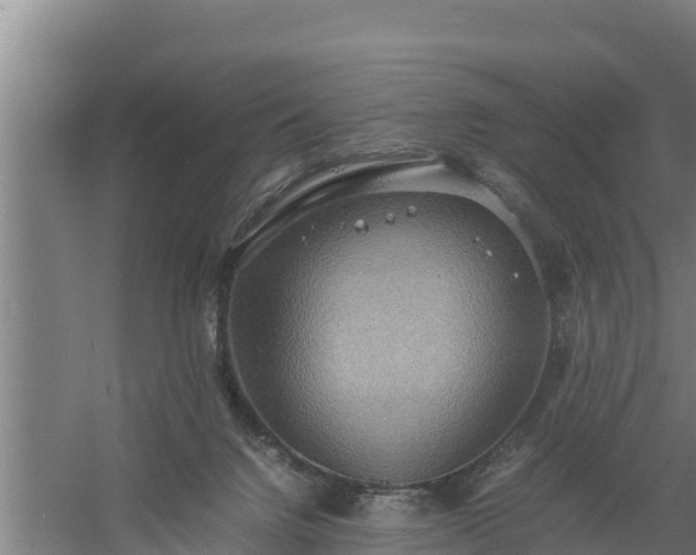 X0000058130072200509302004