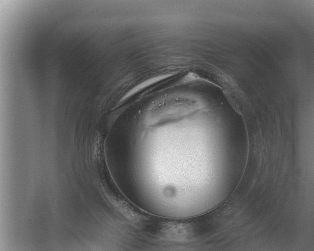 X0000058130073200509302004