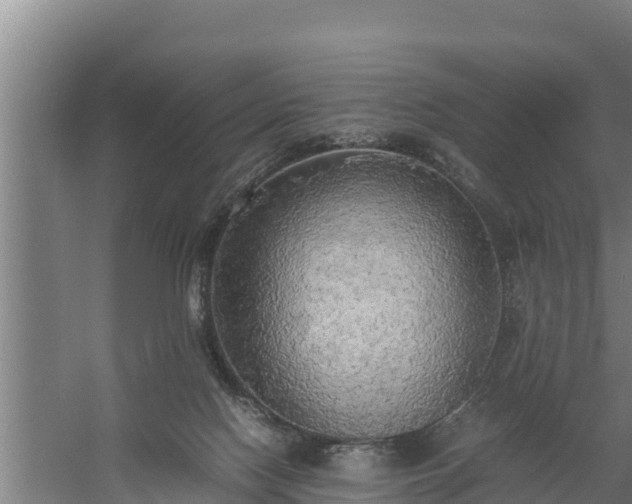 X0000058130074200509302004