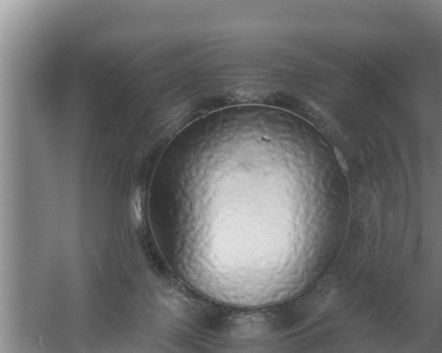 X0000058130075200509302004