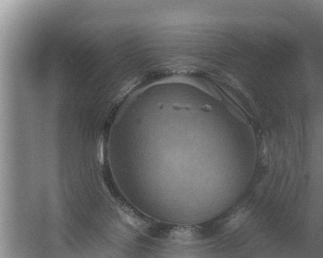 X0000058130076200509302004