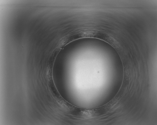 X0000058130079200509302004