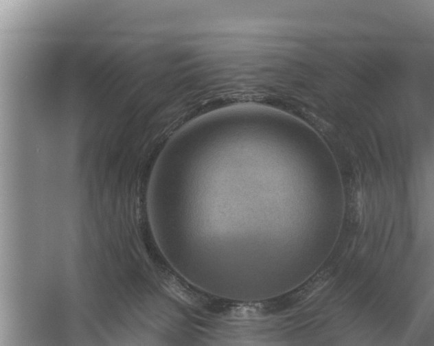 X0000058130080200509302004