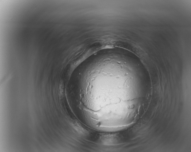 X0000058130081200509302004