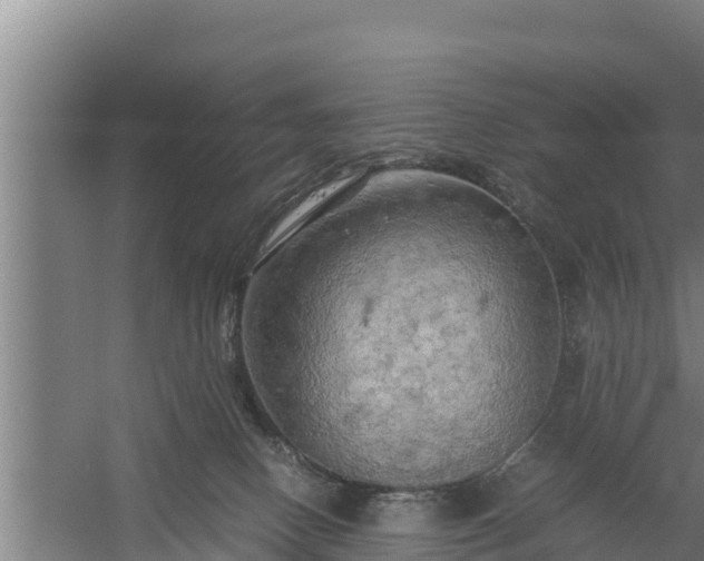 X0000058130082200509302004