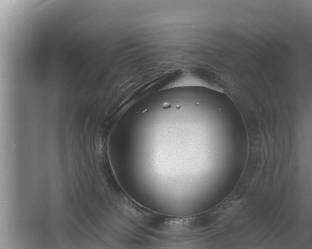 X0000058130084200509302004