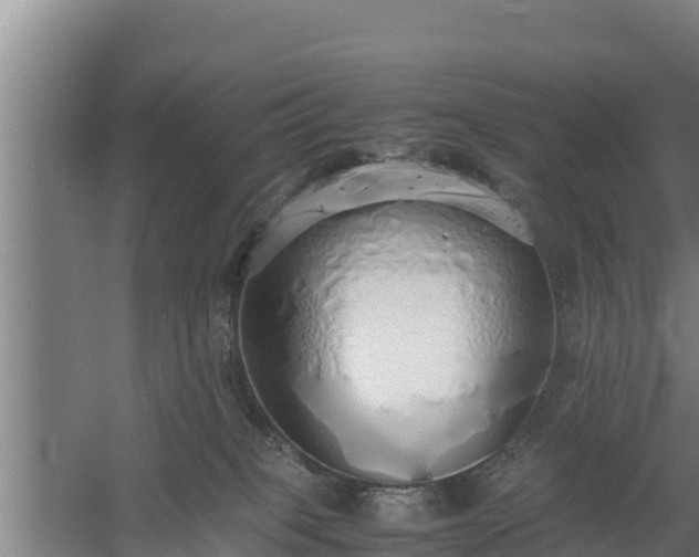 X0000058130085200509302004