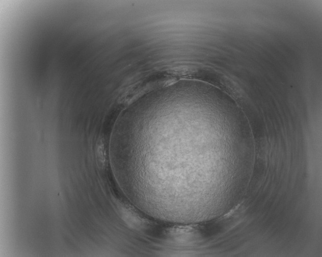 X0000058130086200509302004