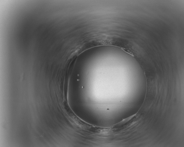 X0000058130088200509302004