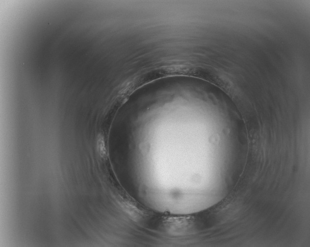 X0000058130089200509302004