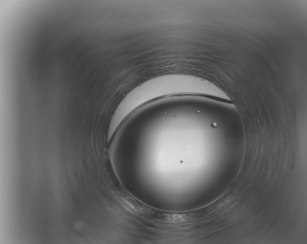 X0000058130091200509302004