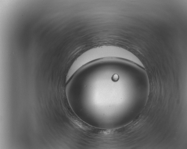 X0000058130092200509302004