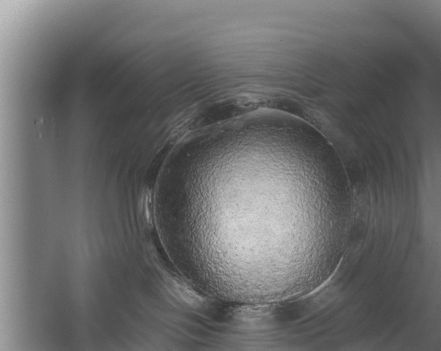 X0000058130094200509302004