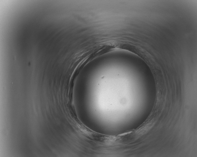 X0000058130096200509302004