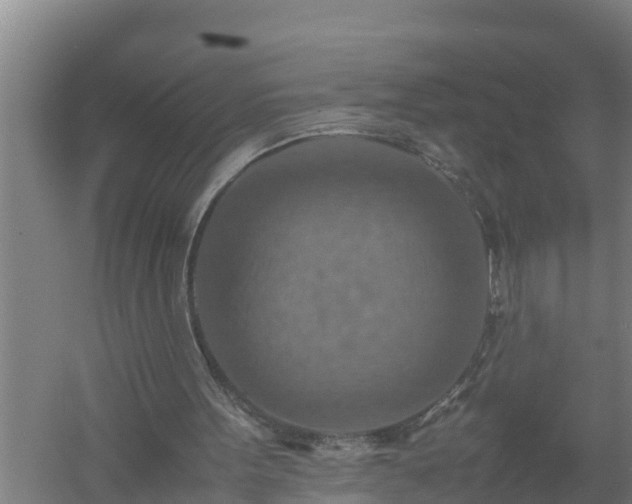 X0000058130099200509302003